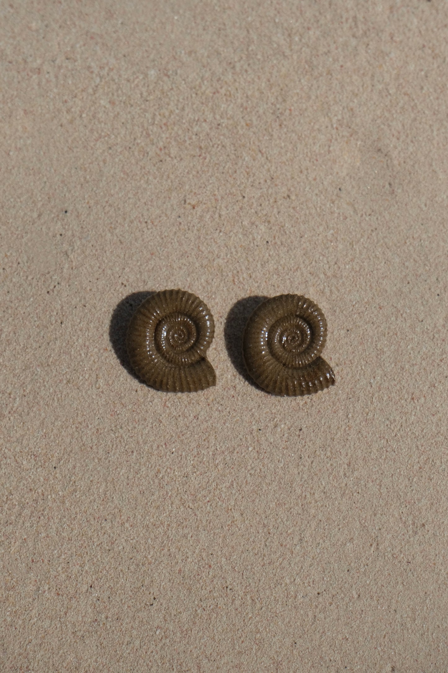 Nautila Ceramic Earrings In Sediment - Sagu