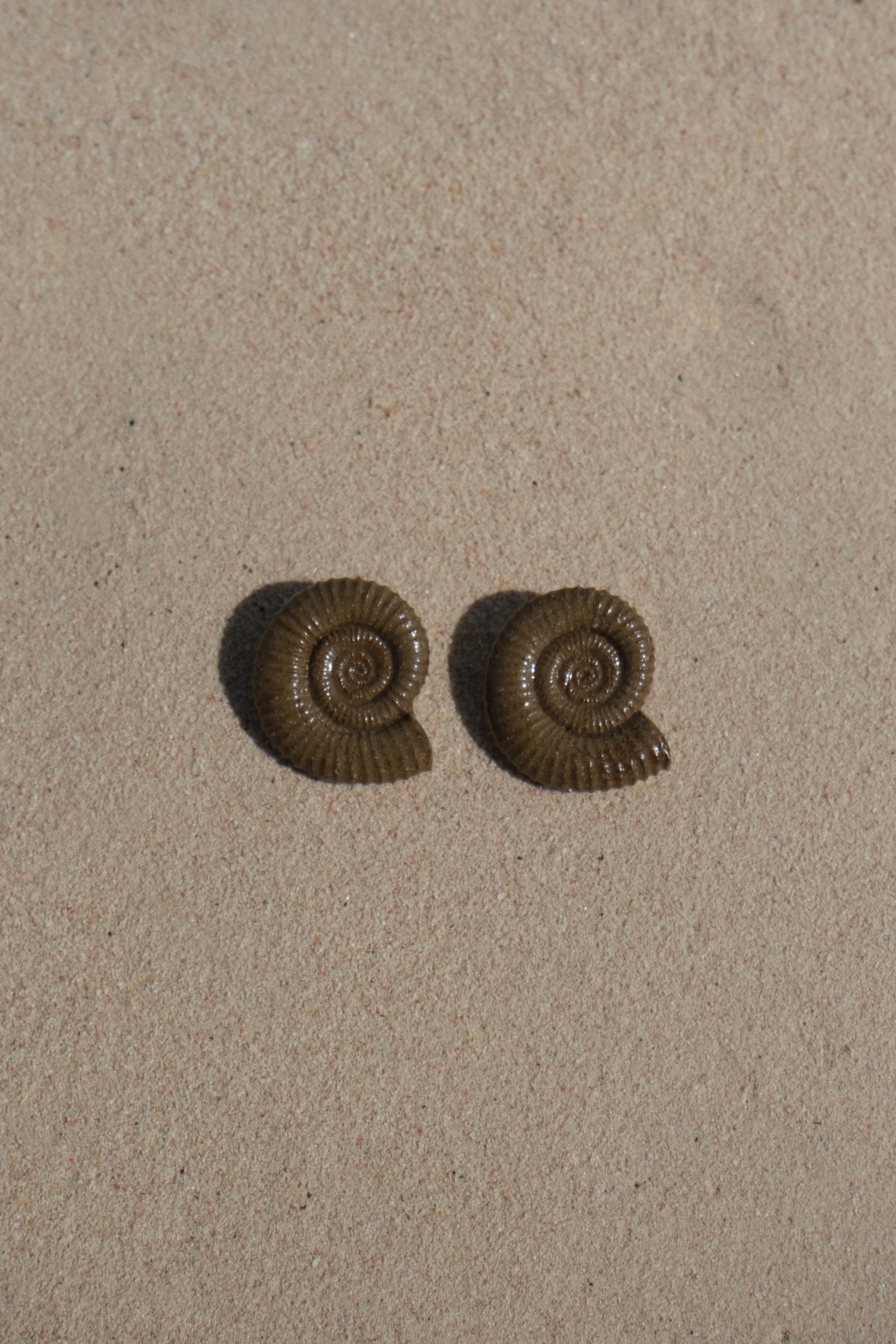 Nautila Ceramic Earrings In Sediment - Sagu