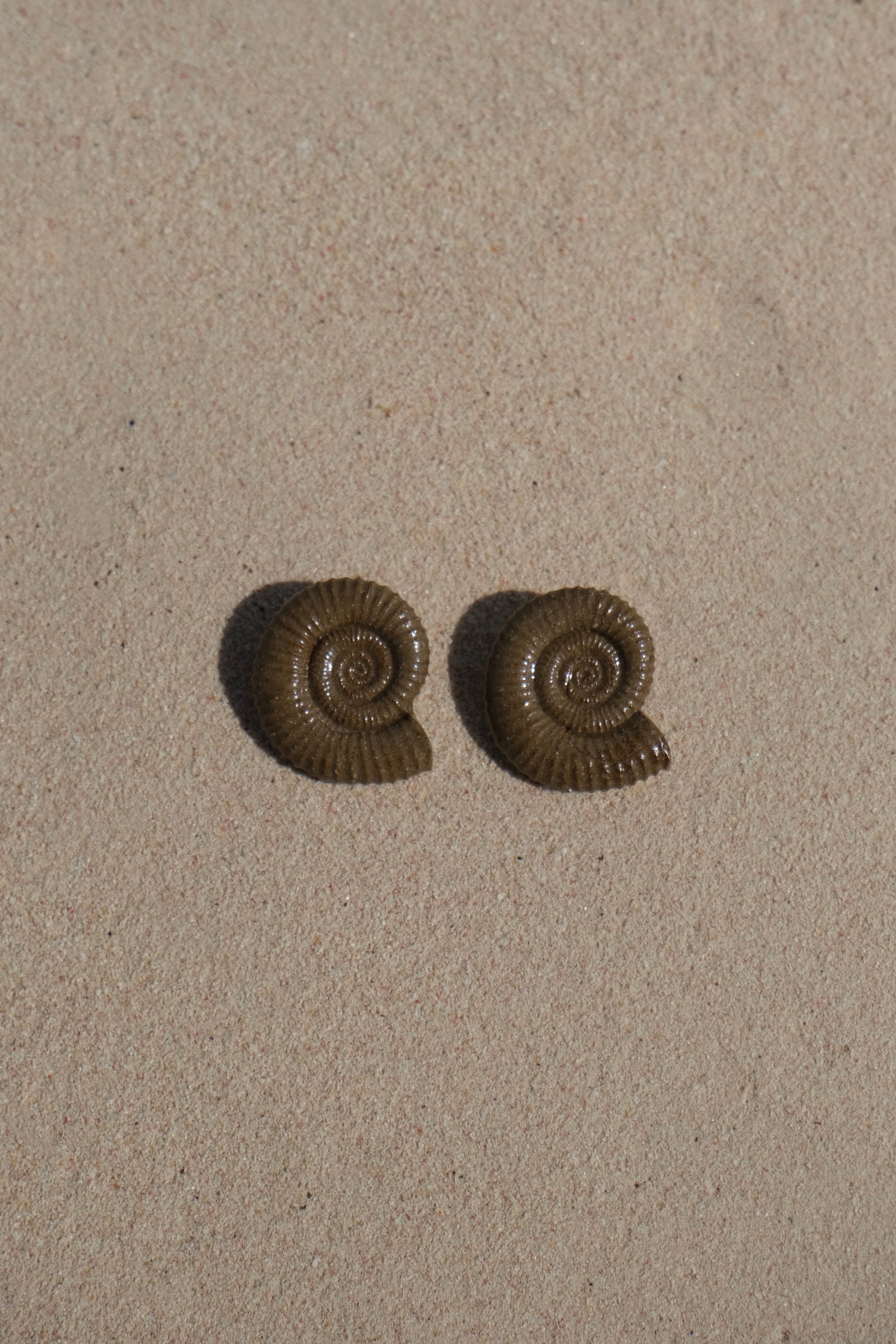 Nautila Ceramic Earrings In Sediment - Sagu