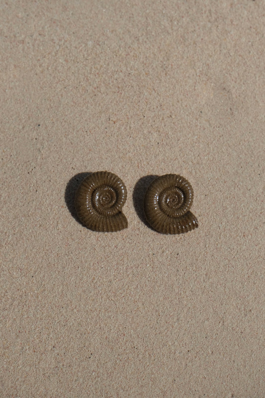 Nautila Ceramic Earrings In Sediment - Sagu