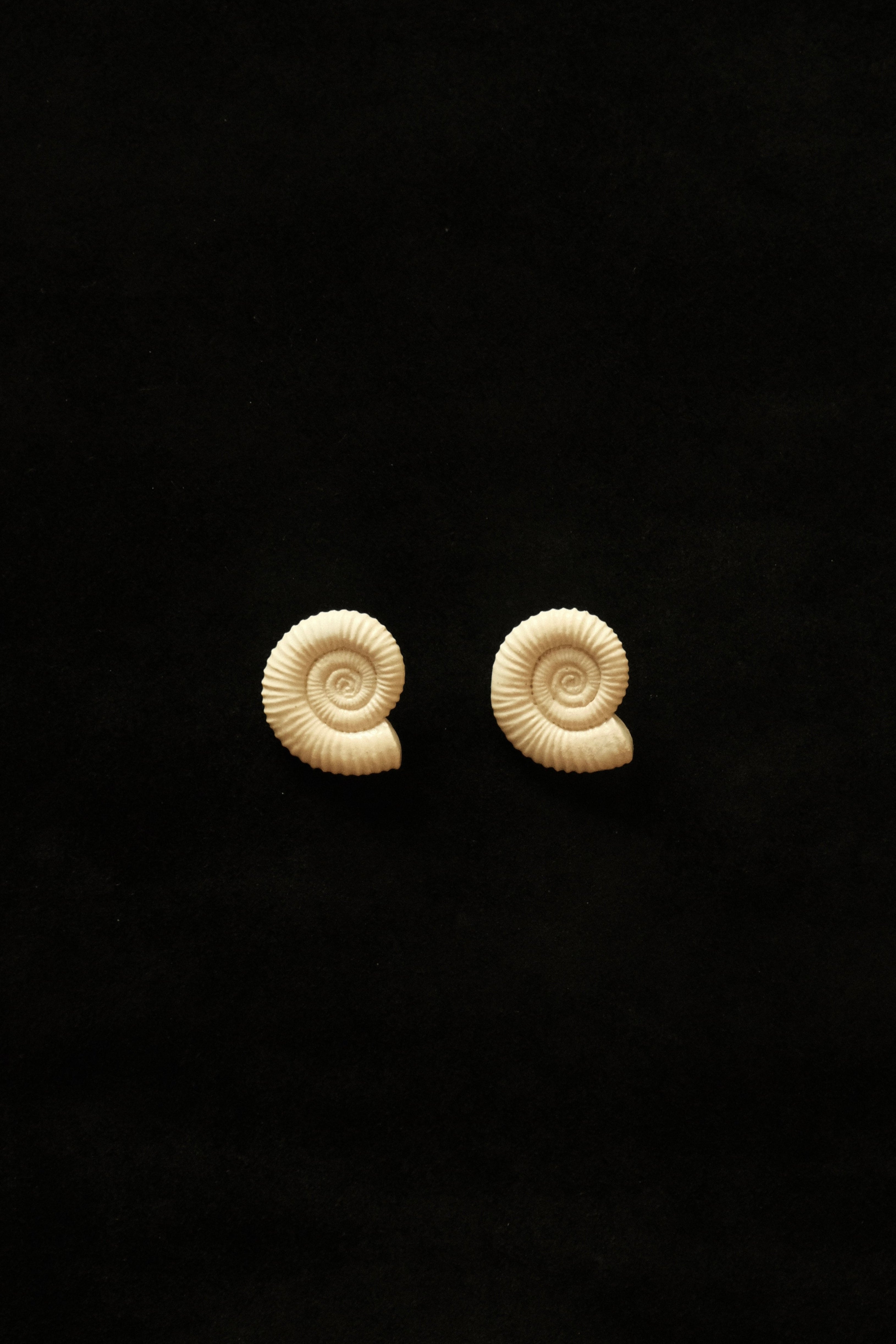 Nautila Ceramic Earrings In Ivory - Sagu