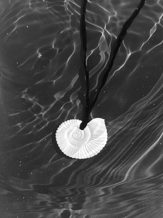 Nautila Pendant Ceramic Necklace In White - Sagu